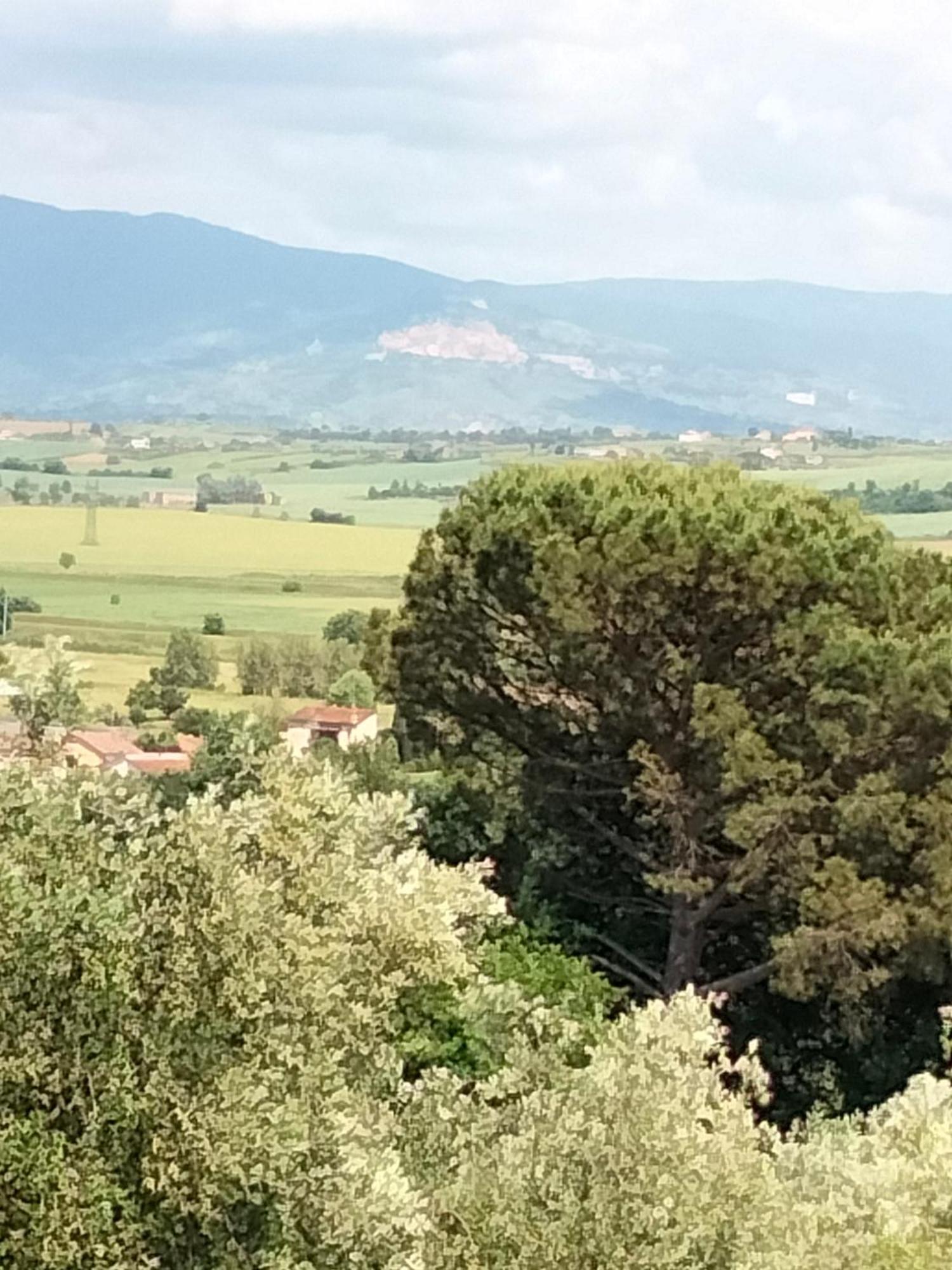 Villa Spaccasole Su Cortona Foiano Della Chiana Exteriör bild