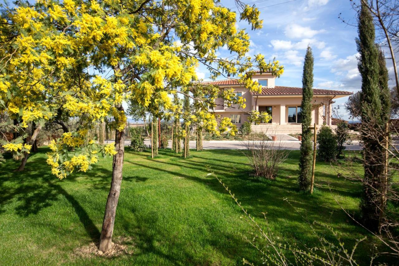 Villa Spaccasole Su Cortona Foiano Della Chiana Exteriör bild